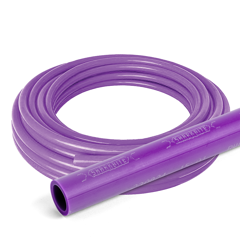 PurplePex-Web